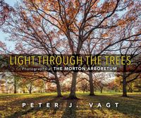 Cover image for Light Through the Trees: Photographs at The Morton Arboretum
