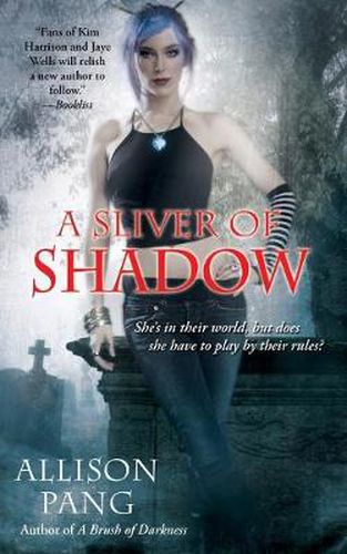 Cover image for A Sliver of Shadow