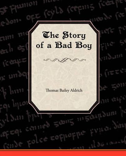 Cover image for The Story of a Bad Boy