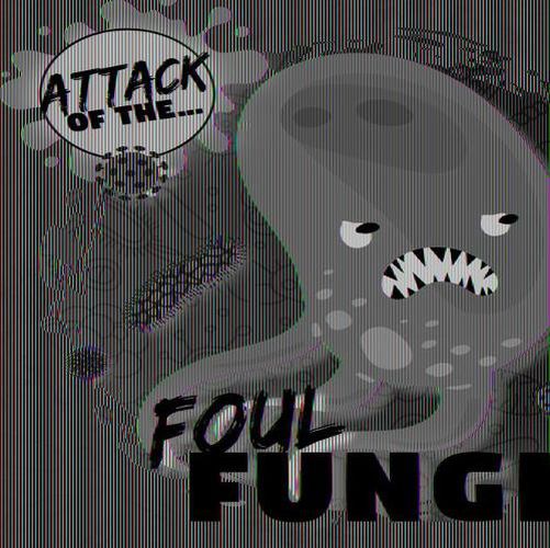 Cover image for Foul Fungi