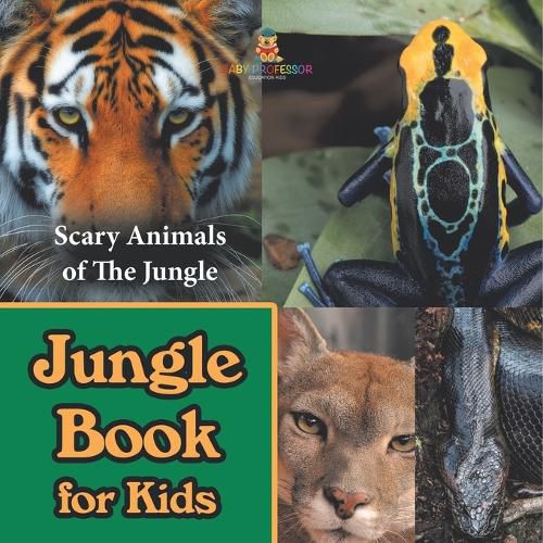 Cover image for Jungle Book for Kids