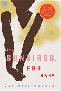 Cover image for Tiny Sunbirds, Far Away: A Novel