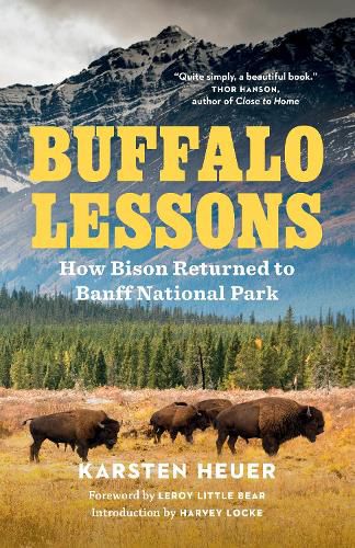 Cover image for Buffalo Lessons