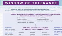 Cover image for Window of Tolerance Laminated Card