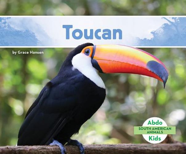 Cover image for Toucan