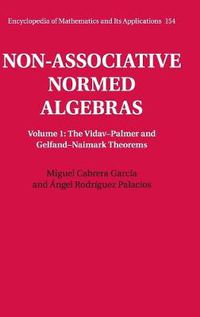 Cover image for Non-Associative Normed Algebras