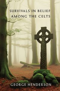 Cover image for Survivals in Belief Among the Celts