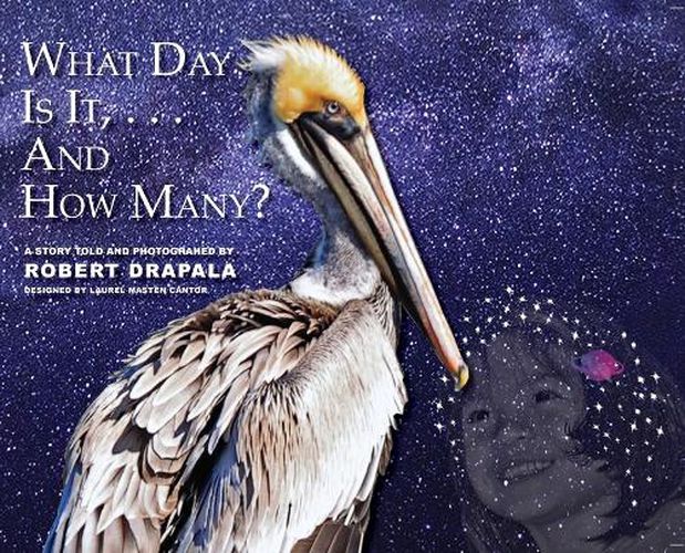 Cover image for What Day Is It and How Many?