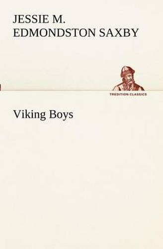 Cover image for Viking Boys