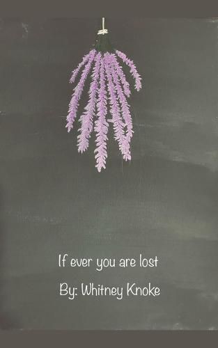 Cover image for If ever you are lost