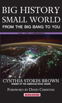 Cover image for Big History, Small World: From the Big Bang to You