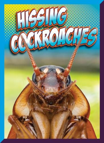 Cover image for Hissing Cockroaches