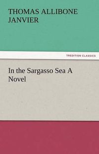 Cover image for In the Sargasso Sea a Novel