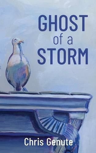 Cover image for Ghost of a Storm