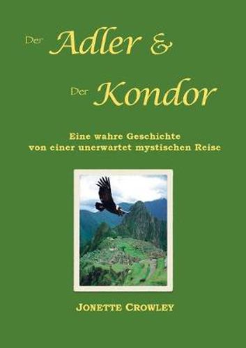 Cover image for Der Adler und der Kondor: Eine wahre Geschichte von einer unerwartet mystischen Reise