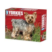 Cover image for Yorkies 2025 6.2 X 5.4 Box Calendar