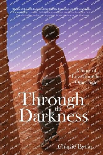 Cover image for Through the Darkness