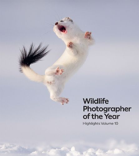 Cover image for Wildlife Photographer of the Year: Highlights Volume 10