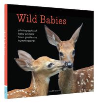 Cover image for Wild Babies: Photographs of Baby Animals from Giraffes to Hummingbirds