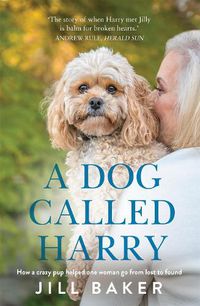 Cover image for A Dog Called Harry