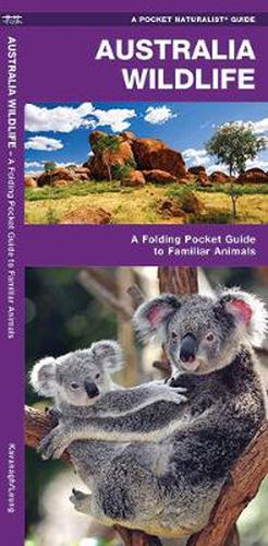 Cover image for Australian Wildlife: A Folding Pocket Guide to Familiar Species