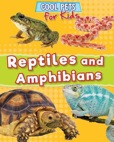 Cover image for Reptiles and Amphibians