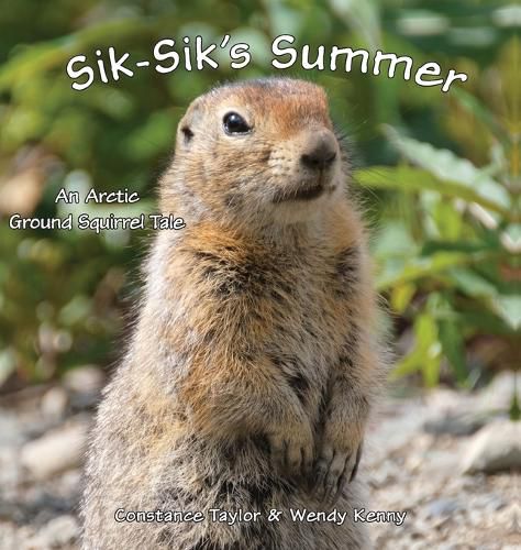 Cover image for Sik-Sik's Summer