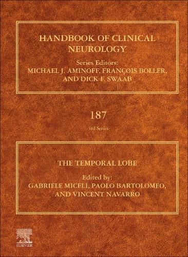Cover image for The Temporal Lobe