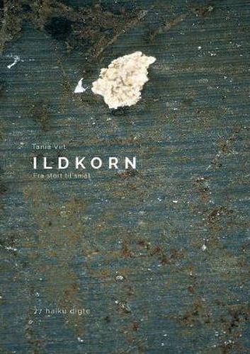 Cover image for Ildkorn: Fra stort til smat - 77 Haiku digte