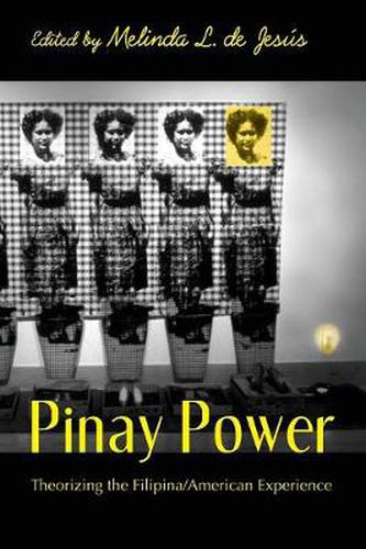 Cover image for Pinay Power: Peminist Critical Theory