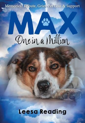 Cover image for Max: One in a Million