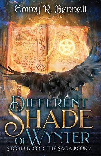 Cover image for Different Shade of Wynter