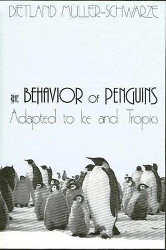 The Behavior of Penguins: Adapted to Ice and Tropics