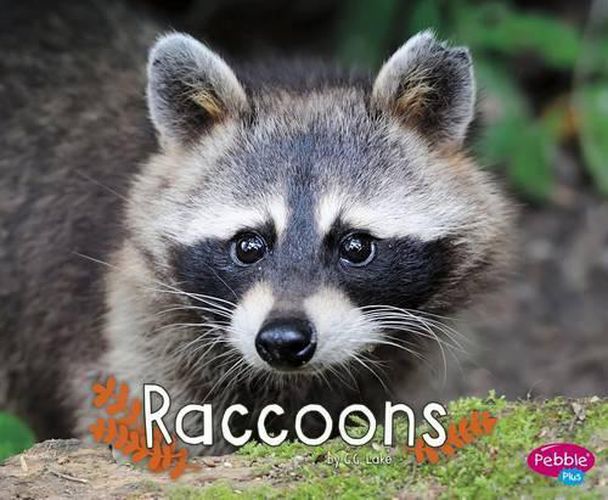 Cover image for Raccoons