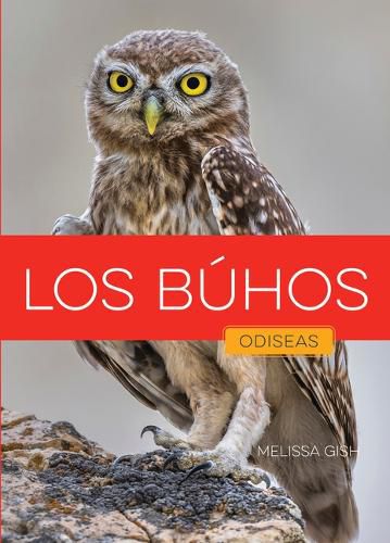Cover image for Los Buhos