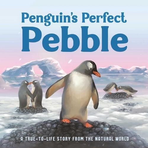 Cover image for Penguin's Perfect Pebble