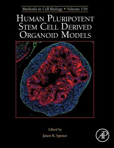 Cover image for Human Pluripotent Stem Cell Derived Organoid Models