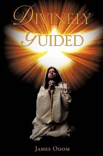 Cover image for Divinely Guided