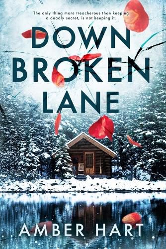 Cover image for Down Broken Lane