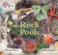 Cover image for Rock Pools: Phase 3