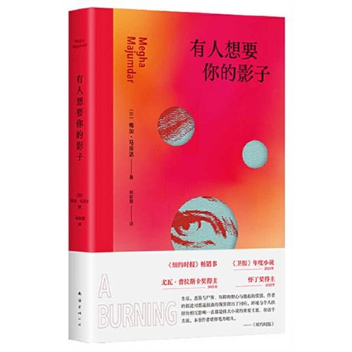 Cover image for Someone Wants Your Shadow