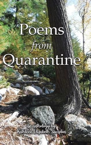 Poems from Quarantine: An Anthology of Brainstorms