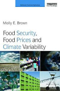 Cover image for Food Security, Food Prices and Climate Variability