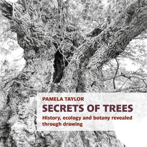 Cover image for Secrets of Trees