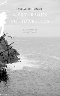 Cover image for Mysterious Solidarities