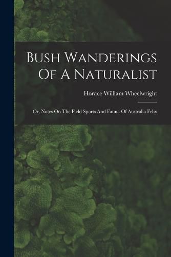 Cover image for Bush Wanderings Of A Naturalist