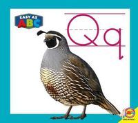 Cover image for Qq