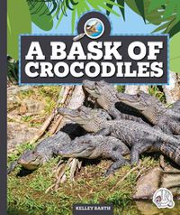 Cover image for A Bask of Crocodiles