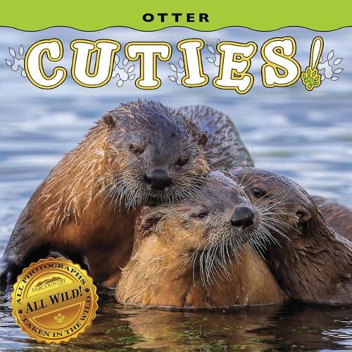 Cover image for Otter Cuties!