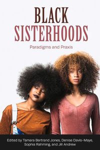 Cover image for Black Sisterhoods: Paradigms and Praxis